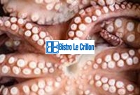 The Foolproof Method for Cooking Octopus | Bistro Le Crillon