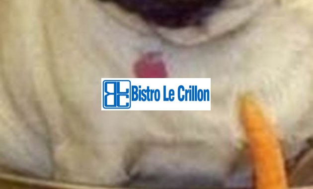 Master the Art of Cooking Delicious Dog Dishes | Bistro Le Crillon