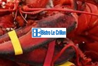 Delicious Recipes for Cooking Maine Lobster | Bistro Le Crillon