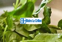 Cook Raw Spinach like a Pro with These Easy Techniques | Bistro Le Crillon