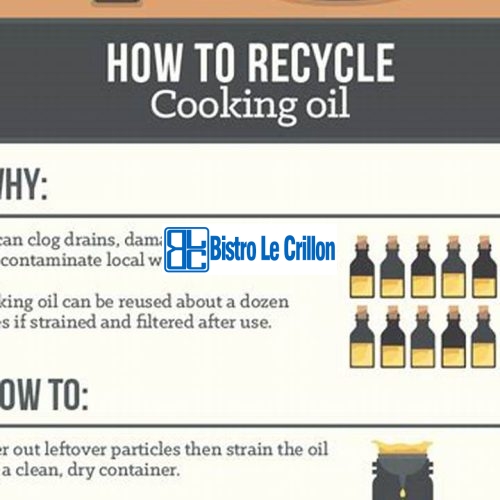 Master the Art of Recycling Cooking Oil | Bistro Le Crillon